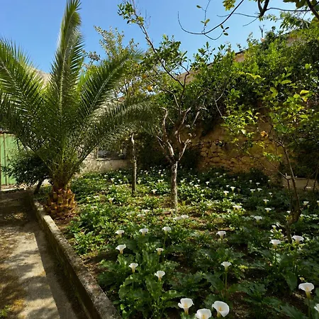 Il Giardino Delle Calle Sorso
